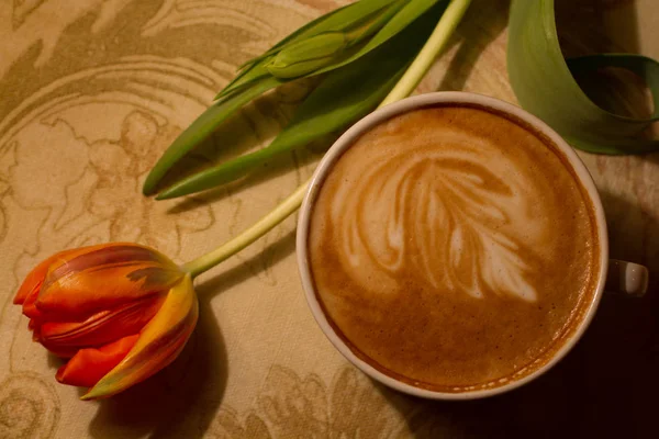 Tulip and cappuccino still life picture — Stock Photo, Image