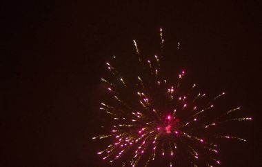 siyah gökyüzü üzerinde renkli havai fişek