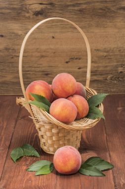 Şeftali taze yeni kırpma ile yaprakları