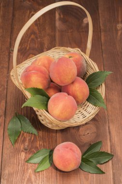 Şeftali taze yeni kırpma ile yaprakları