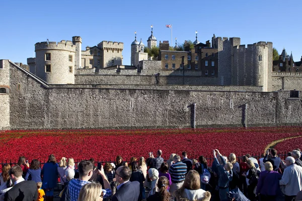 Londra Kulesi 'nde gelincikler — Stok fotoğraf