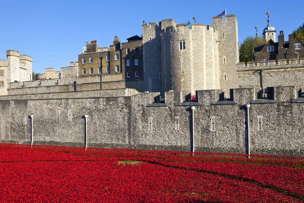 Papaveri alla Torre di Londra — Foto Stock