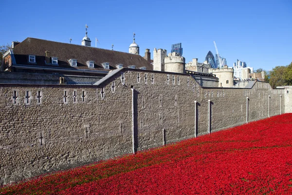 Poppies bij de Tower of London — Stockfoto