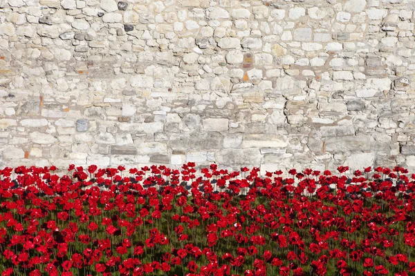 Torre de Londres y amapolas —  Fotos de Stock