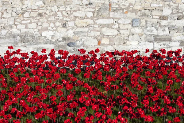 Torre de Londres y amapolas — Foto de Stock