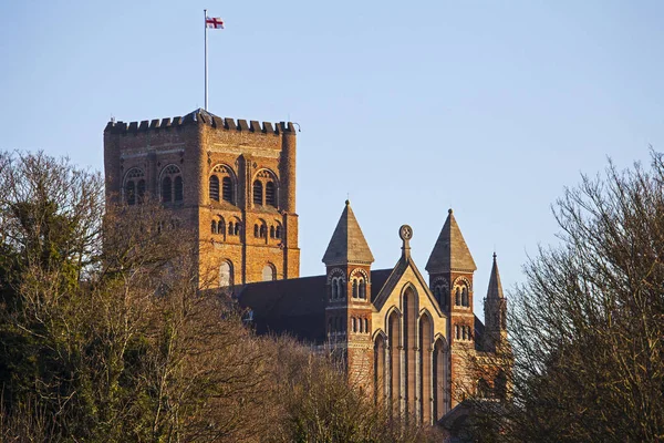 Catedral de St. Albans — Fotografia de Stock