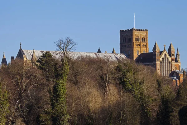 Katedrála St. Albans — Stock fotografie