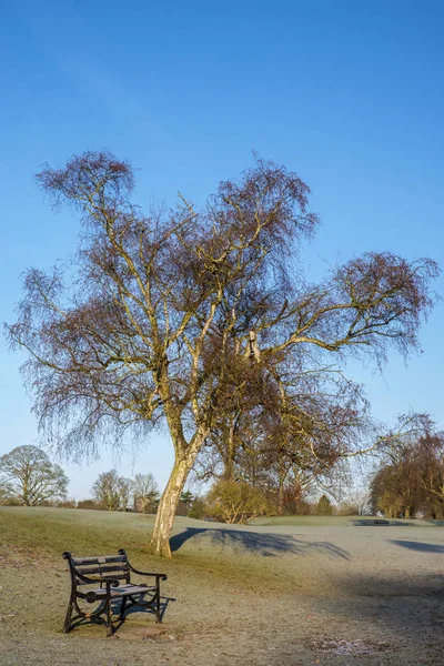 Verulamium парк в Санкт безкоштовне. — стокове фото