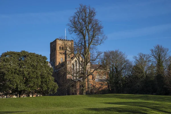 St. Albans Cathedral — Stockfoto