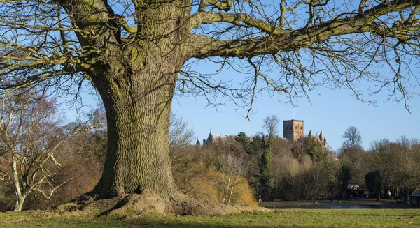 St. Albans en Inglaterra —  Fotos de Stock