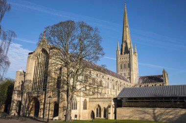 Norwich Katedrali Norwich