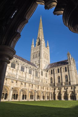 Norwich Katedrali Norwich
