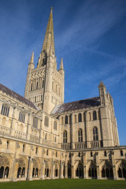 Norwich Katedrali Norwich