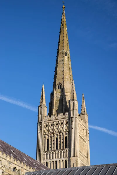 Cathédrale Norwich à Norwich — Photo