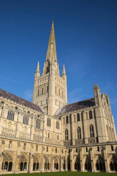 De kathedraal van Norwich in Norwich — Stockfoto