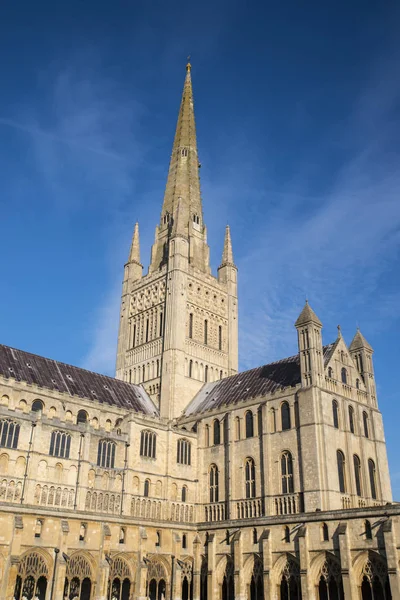Norwich Katedrali Norwich — Stok fotoğraf