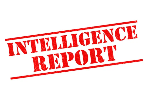 Inteligencji raport pieczątka — Zdjęcie stockowe