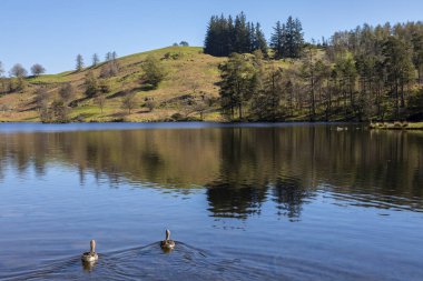 Tarn Hows Lake District