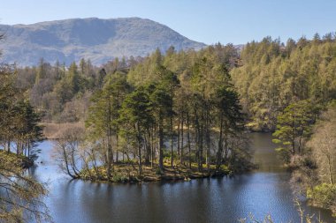 Tarn Hows Lake District