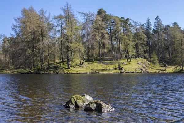 Tarn Hows i Lake District — Stockfoto