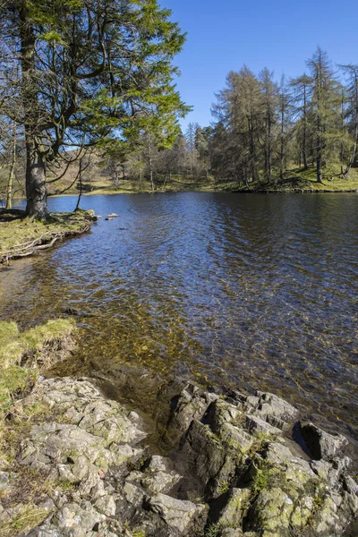 Tarn Hows in the Lake District — Stock Photo, Image