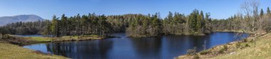 Tarn Hows Lake District