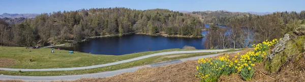 Pittoresk utsikt över Tarn Hows i Lake District — Stockfoto