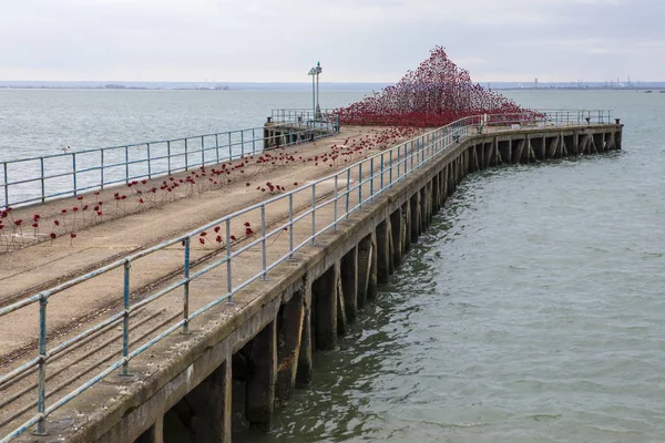 Poppy våg vid Southend-On-Sea — Stockfoto