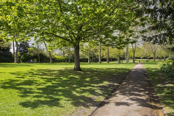 De tuinen van wijnstokken in Rochester, Verenigd Koninkrijk — Stockfoto