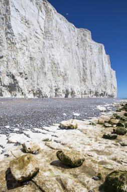 Tebeşir kayalıklarla East Sussex'deki / daki sahil şeridi üzerinde