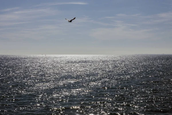 Seaview from Brighton Pier — Stock Photo, Image