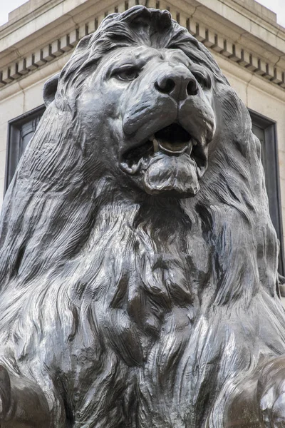 ロンドンのトラファルガー広場のライオン — ストック写真