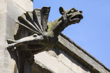 Gargoyle York