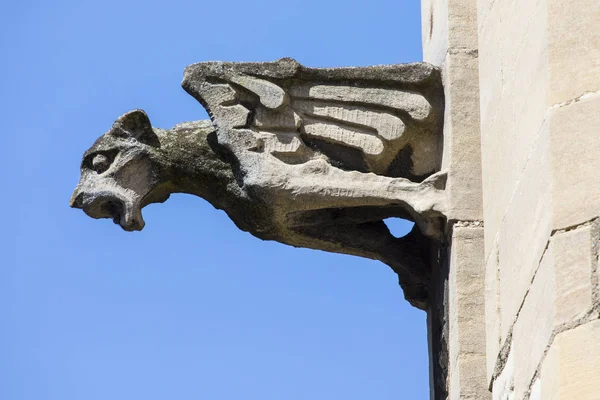 Gárgola en York — Foto de Stock