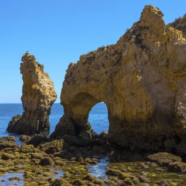 Ponta da Piedade Lagos, Portekiz, güzel grottos biri bir görünümünü.