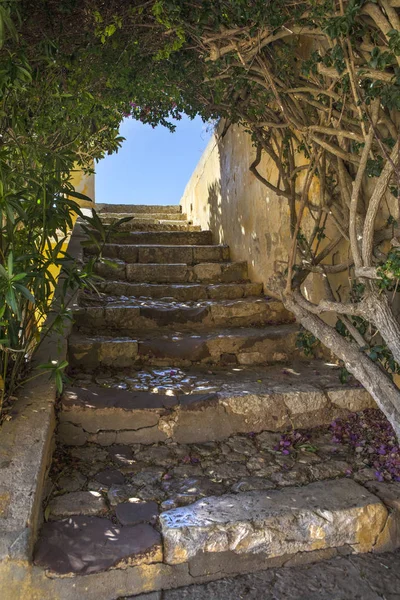 Vackra lantliga steg i Algarve — Stockfoto