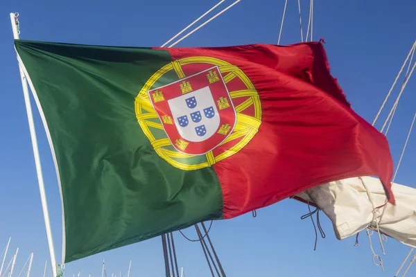 Vlag Van Portugal — Stockfoto