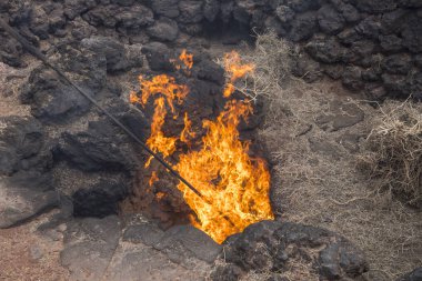 Jeotermal deney Timanfaya Milli Parkı