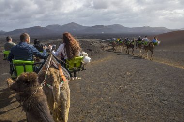 Deve sürmek Timanfaya Milli Parkı