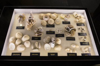 Castillo de San Gabriel Arrecife kabuk ekran