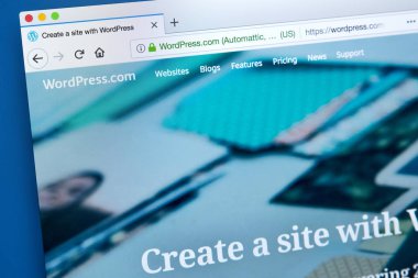 WordPress web sitesi