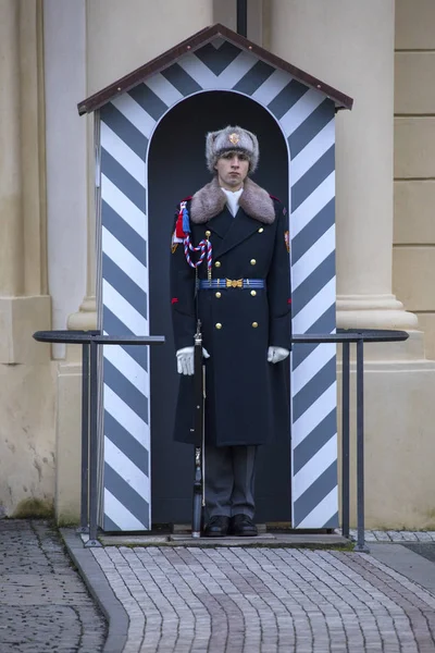 Prague Castle Guard — Stock Photo, Image