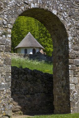 Savaş Abbey Sussex'te kalıntıları
