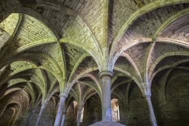 Savaş Abbey East Sussex'deki / daki defin