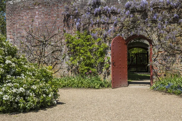 Trädgårdar på Arundel slott i Sussex — Stockfoto