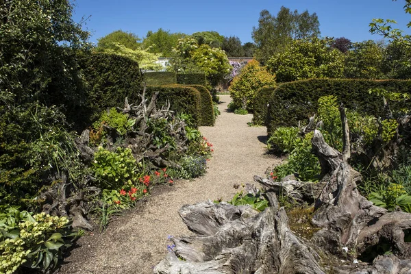 Stumpery på Arundel slott i Sussex — Stockfoto