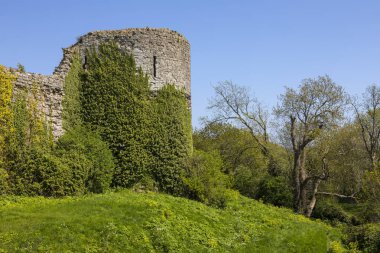 East Sussex, İngiltere'de tarihi Pevensey kalede güzel harabe. Bir Ortaçağ Kalesi ve eski Roma Sakson Shore fort.