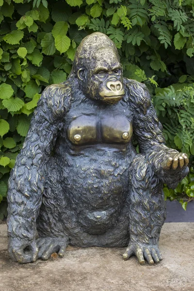 Colchester May 12Th 2018 Statue Gorilla Colchester Zoo Essex 12Th — Stock Photo, Image