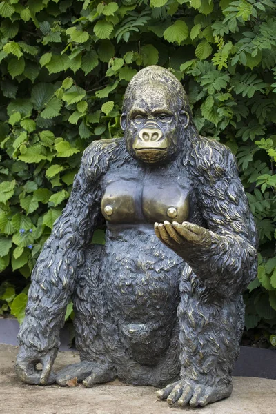 Colchester May 12Th 2018 Statue Gorilla Colchester Zoo Essex 12Th — Stock Photo, Image