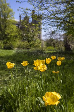 Arundel, İngiltere - 5th Mayıs 2018: Güzel bahçeleri West Sussex, İngiltere 5 Mayıs 2018'de kalede Arundel.